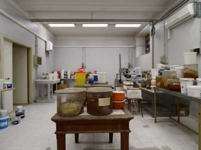 Ed � proprio qui che entriamo, per immergerci ai piani inferiori della struttura. Accediamo cos� a quella che era la sala autoptica, dove avvenivano le autopsie